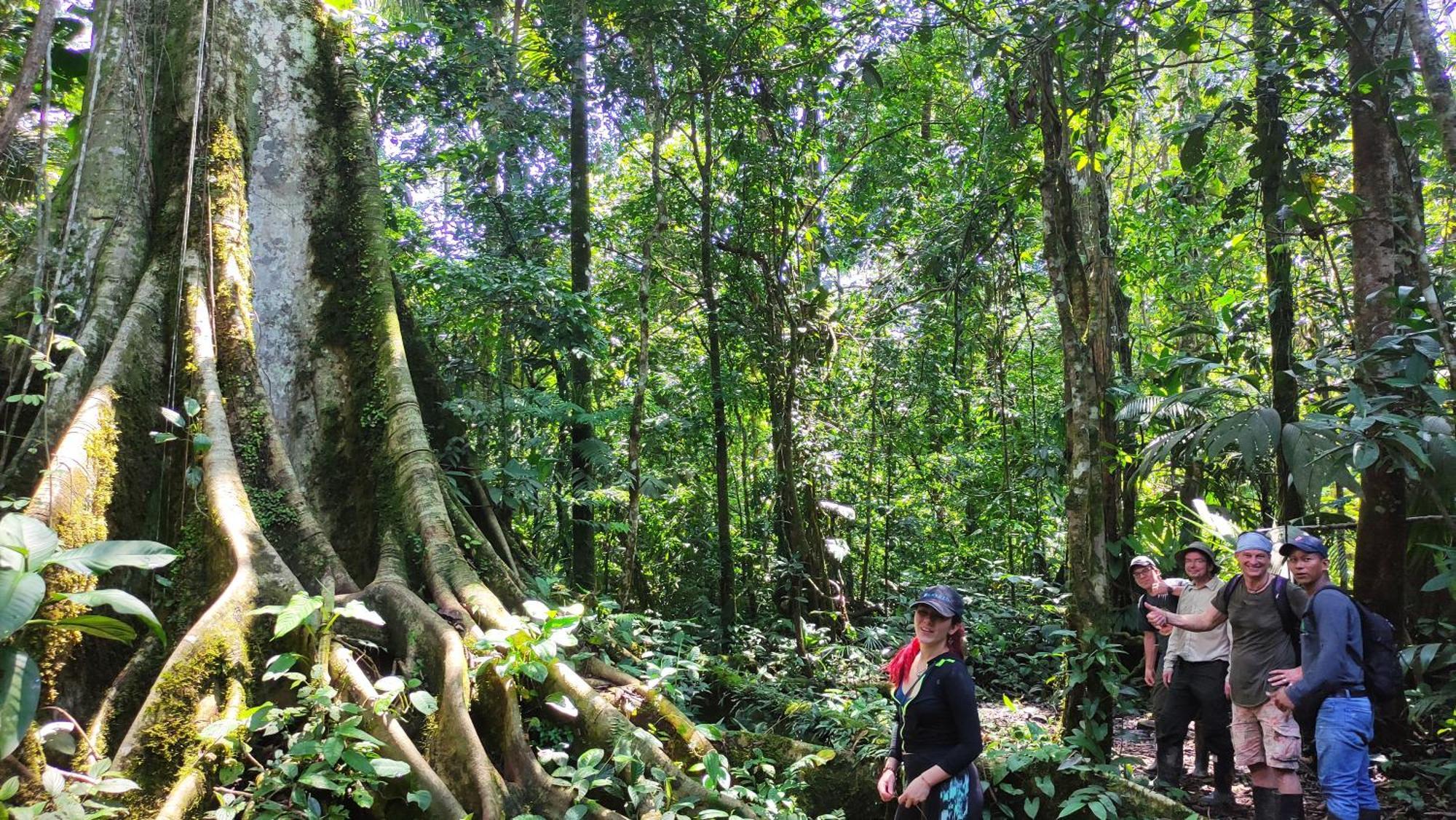 Gaia Amazon Eco Lodge Ahuano Buitenkant foto
