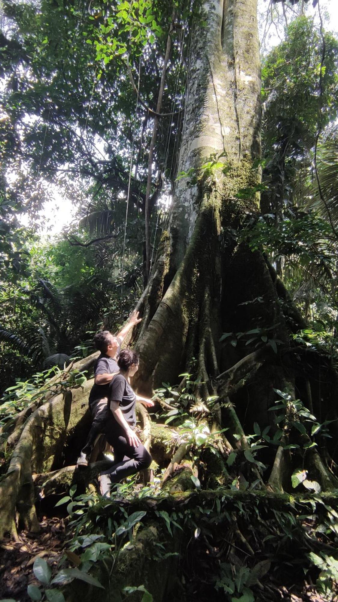 Gaia Amazon Eco Lodge Ahuano Buitenkant foto