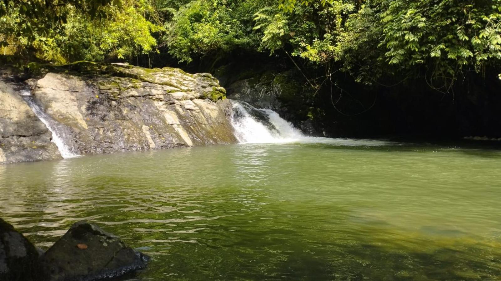 Gaia Amazon Eco Lodge Ahuano Buitenkant foto
